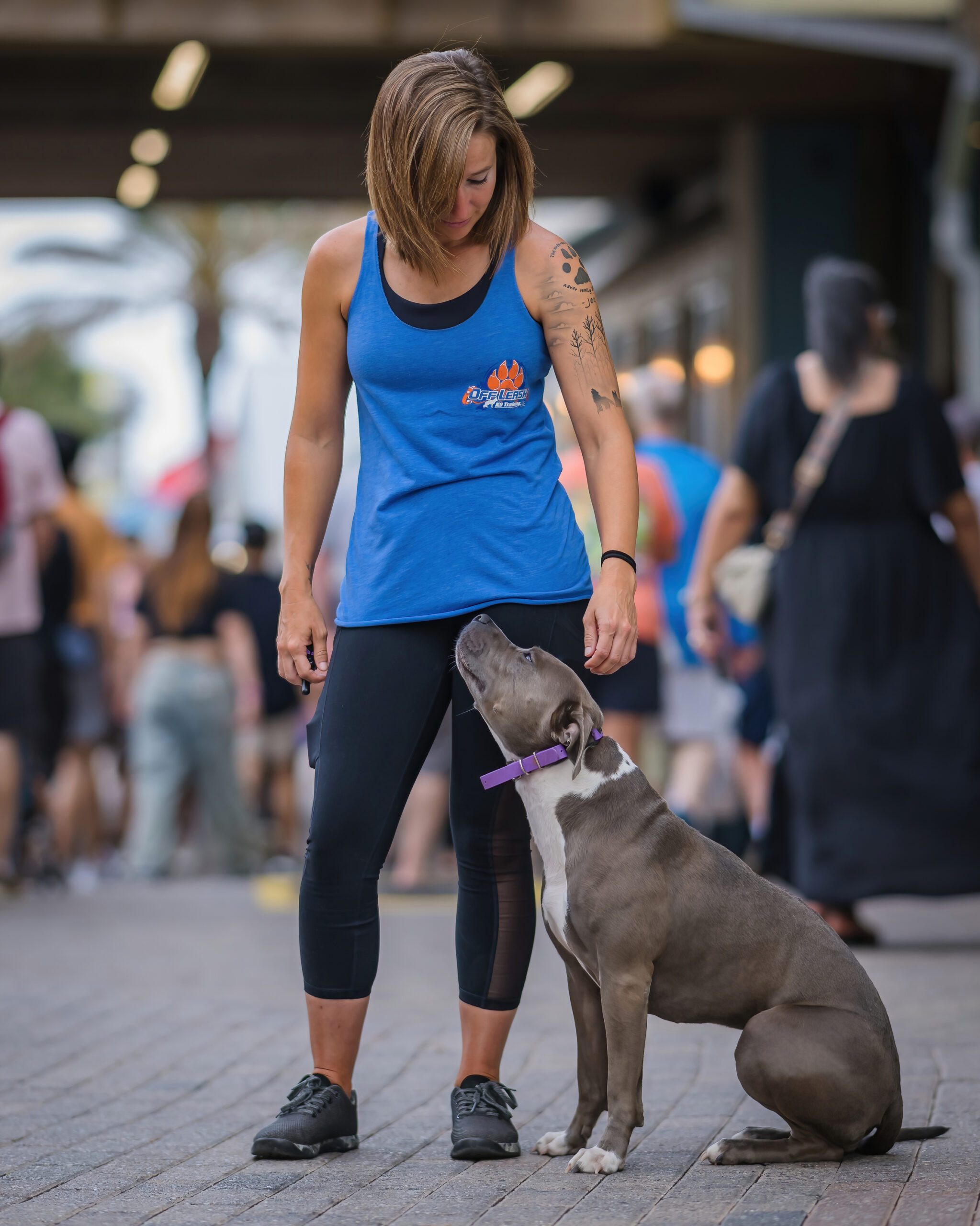 Off Leash K9 Training 30A Highlights Puppy Training Services for Santa Rosa Beach and Scenic 30A